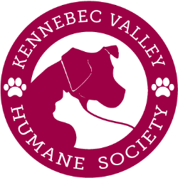 shelter logo