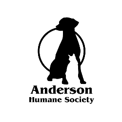 shelter logo