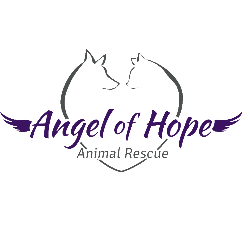 shelter logo