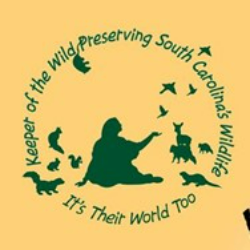shelter logo