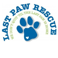 shelter logo