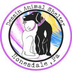 shelter logo