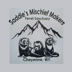 Saddies Mischief Makers Ferret Sanctuary