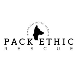shelter logo