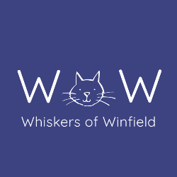 shelter logo
