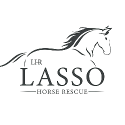 shelter logo