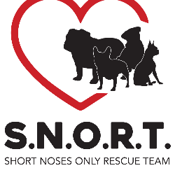 shelter logo