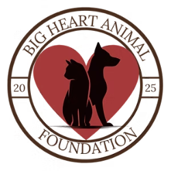 shelter logo