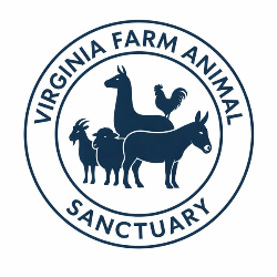 shelter logo