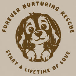 shelter logo