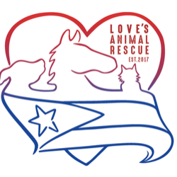shelter logo