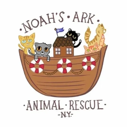 shelter logo