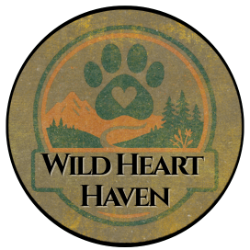 Wild Heart Foundation Inc