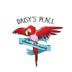 Daisy's Place Avian Sanctuary