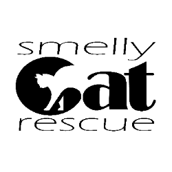 shelter logo