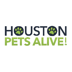 shelter logo