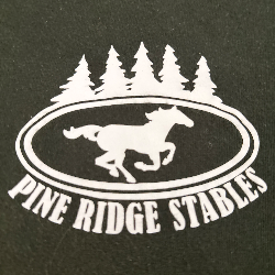 shelter logo