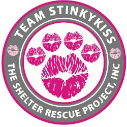 shelter logo