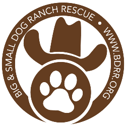 shelter logo