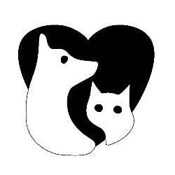 shelter logo