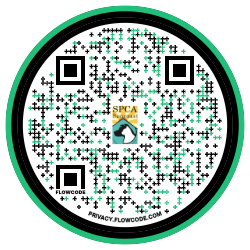 shelter logo