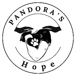 shelter logo