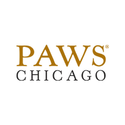 shelter logo