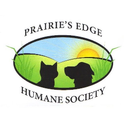 shelter logo