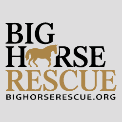 Big Horse Rescue Corp