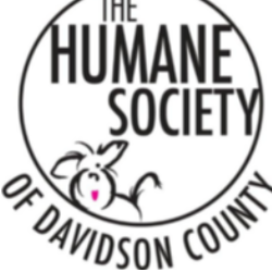 shelter logo