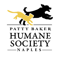 shelter logo