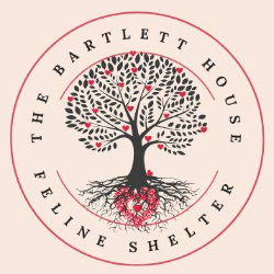 shelter logo