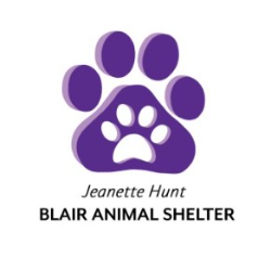 shelter logo