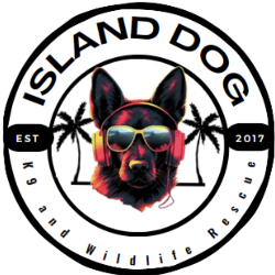 shelter logo