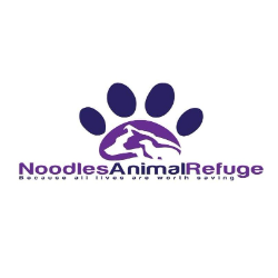 shelter logo