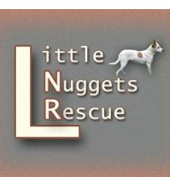 shelter logo