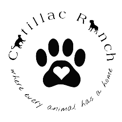 shelter logo