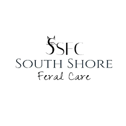 shelter logo