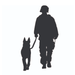 shelter logo