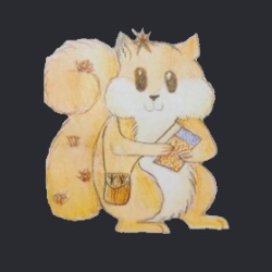 shelter logo