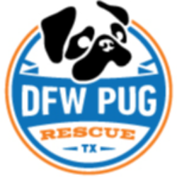 shelter logo