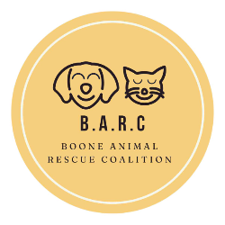 shelter logo