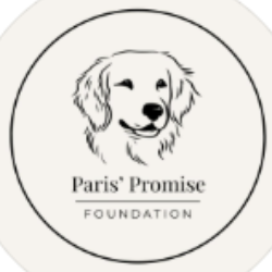 Paris' Promise Foundation Inc.