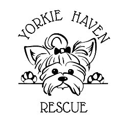 shelter logo