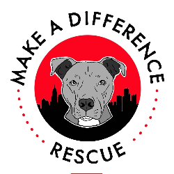 shelter logo