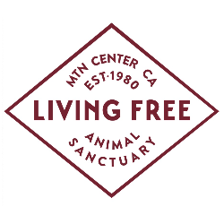 shelter logo