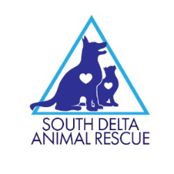 shelter logo