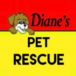 shelter logo