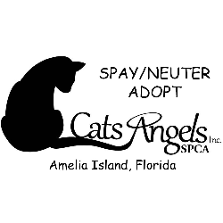 shelter logo