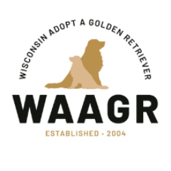 shelter logo